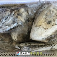 單凍墨魚/花枝/烏賊，干凍沒有泡水，產自福建東山島
