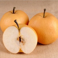 山東萊陽豐水梨特5斤6-8?，F(xiàn)摘脆甜梨新鮮水果批發(fā)