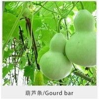 常年供應葫蘆條干瓢 多種用途葫蘆條 葫蘆條多規(guī)格