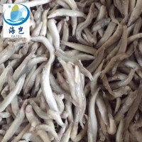 批發冷凍沙溜魚海泥鰍 新鮮冷凍玉筋魚 適合自助餐廳食堂廠家直銷
