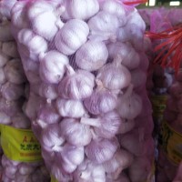 供應金鄉太空蒜種，蒜子，紫皮蒜子，白皮蒜子