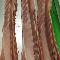 廠家供應批發冷分割冷凍豬肉產品 凍豬脊骨冷鮮