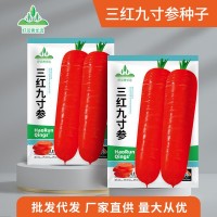 三紅九寸參胡蘿卜種子紅蘿卜紅皮紅心水果胡羅卜種孑秋季菜種子籽