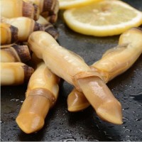 蟶子 貝類去殼海捕新鮮蟶王肉冷凍竹節(jié)蟶子海鮮批發(fā)200g順豐包郵