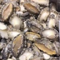 成都批發鮑魚肉10斤件 去殼去肚速凍純鮑魚肉海霸王酒店食材